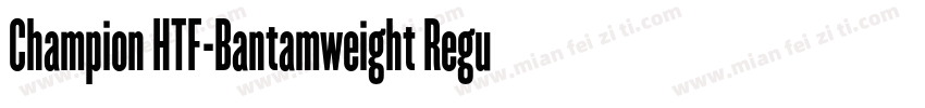 Champion HTF-Bantamweight Regular字体转换